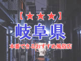 【岐阜市・金津園・大垣】岐阜県で本番できる風俗店15選！のサムネイル画像