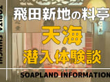 飛田新地の料亭”天海”の潜入体験談！NN/NS情報・料金・遊び方を紹介！【2026年】のサムネイル画像