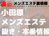 【小田原】本番・抜きありと噂のおすすめメンズエステ9選！【基盤・円盤裏情報】！のサムネイル画像
