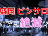 【2024年本番情報】岩手県盛岡市のピンサロで遊ぶなら？おすすめ店舗で実際にNS・本番出来るのか体当たり調査！のサムネイル画像