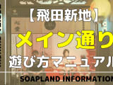 飛田新地のメイン通りを徹底解説！料金やNN/NS情報を紹介！のサムネイル画像