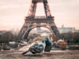 【実録】フランス人のゲイは常識？お洒落な都パリでアブノーマル体験！のサムネイル画像
