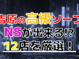【2025年本番情報】吉原で実際に遊んだ高級ソープ12選！本当にNS・NNが出来るのか体当たり調査！のサムネイル画像