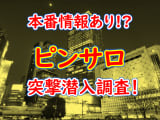【2024年本番情報】高知県高知市で実際に遊んできたピンサロ5選！NNや本番が出来るのか体当たり調査！のサムネイル画像