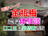 神奈川県・川崎のソープ"金瓶梅"でNN/NS交渉！エロすぎる体験談を暴露！【2025年】のサムネイル画像