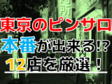 【2025年本番情報】東京都で実際に遊んできたピンサロ12選！本当に本番・店外デートが出来るのか体当たり調査！のサムネイル画像