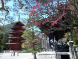 山梨県の神社・お寺別に御朱印をご紹介！自然との調和が美しい神社仏閣まとめ！のサムネイル画像