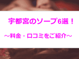 【コロナ新情報】宇都宮のおすすめソープ6選を全25店舗から厳選！爆乳娘とNN/NS!?のサムネイル画像