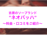 【裏情報】吉原のソープランド“ネオバッハ”はNN/NSあり？！料金・口コミを公開！のサムネイル画像