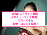 【裏情報】"大和ミュージック劇場"はコアなストリップ劇場！料金・口コミを公開のサムネイル画像