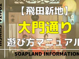 飛田新地の大門通りを徹底解説！料金やNN/NS情報を紹介！のサムネイル画像