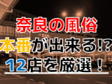  奈良県のおすすめ風俗・人気ランキングTOP11！【2024年最新】のサムネイル画像