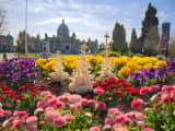 花の都ビクトリアへ！カナダ女子旅観光スポット！グルメ・ホテル情報やモデルコースもご紹介！のサムネイル画像