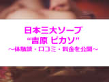 吉原のピカソは日本3大ソープの1つ！宮沢りえ似と本番!?NN/NS情報も！のサムネイル画像