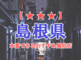 【松江】島根県で本番できる風俗店6選！のサムネイル画像