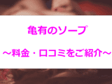 【2024年最新】東京・亀有のソープは"プレイガール"1店舗のみ！他の人気風俗店も5店厳選！のサムネイル画像