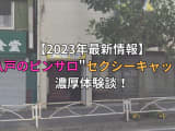 【2024年最新情報】青森・八戸のピンサロ"セクシーキャット"での濃厚体験談！料金・口コミ・おすすめ嬢・本番情報を網羅！のサムネイル画像