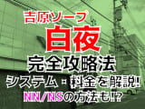 【2022年裏情報】東京・吉原のソープ"白夜"で高貴な人妻さんによるおもてなし！料金・口コミを公開！のサムネイル画像