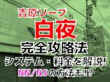 【2022年裏情報】東京・吉原のソープ"白夜"で高貴な人妻さんとNN/NSはあり？料金・口コミを公開！のサムネイル画像