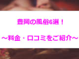 【2024年最新】本番あり？豊岡の風俗店6選！ギャル系美女が淫らに喘ぐ！のサムネイル画像