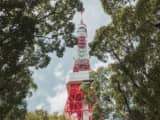 東京で本番できる裏風俗7選！立ちんぼ・ちょんの間・JKリフレの基盤情報を調査！【NN/NS体験談】のサムネイル画像