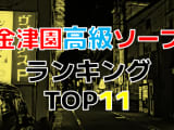 岐阜・金津園の高級ソープ・人気ランキングTOP11!【2025年最新】のサムネイル画像