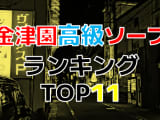 岐阜・金津園の高級ソープ・人気ランキングTOP11!【2024年最新】のサムネイル画像