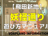 飛田新地の妖怪通りを徹底解説！料金・コース時間・NN/NS情報やおすすめ店舗を詳しく紹介！のサムネイル画像