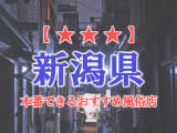 【新潟市・長岡】新潟県で本番できる風俗店10選！のサムネイル画像