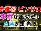 【2024年本番情報】宇都宮で実際に遊んできたピンサロ6選！本当に本番出来るのか体当たり調査！のサムネイル画像