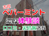 【2024年最新情報】東京・吉原のソープ"ペパーミント"での濃厚体験談！料金・口コミ・おすすめ嬢・本番情報を網羅！のサムネイル画像