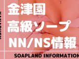 岐阜・金津園の高級ソープランドまとめ！NN/NS出来るお店を紹介！【全7店舗】のサムネイル画像