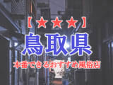 【鳥取市・米子】鳥取県で本番できる風俗店9選！のサムネイル画像