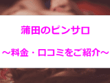 【変態レポ】蒲田のおすすめピンサロは"VG"と"ハワイ"のみ！その他激安風俗も紹介！のサムネイル画像