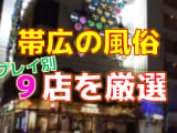 帯広の風俗店をプレイ別に9店を厳選！各ジャンルごとの口コミ・料金・裏情報も満載！のサムネイル画像