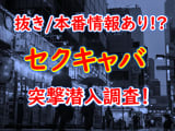【2025年本番情報】東京で実際に遊んできたセクキャバ17選！抜きが出来るのか体当たり調査！のサムネイル画像