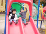 デートや子連れにぴったりな京都の公園はどこ？ムードのいい場所や子ども用設備の有無も紹介のサムネイル画像