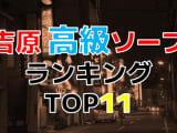 東京・吉原の高級ソープ・人気ランキングTOP11!【2024年最新】のサムネイル画像