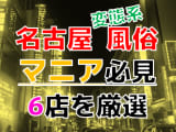 【2024年裏情報】本番あり？名古屋の変態系風俗店6選！爆乳女王様に大放出！のサムネイル画像