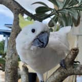 yuwankoのサムネイル画像