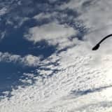 ドラ太郎のサムネイル画像