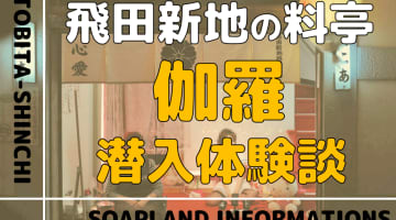 飛田新地の料亭”伽羅”の潜入体験談！NN/NS情報・料金・遊び方を紹介！【2026年】のサムネイル画像