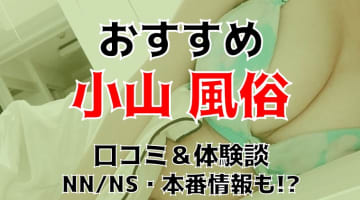 本番/NN/NS体験談！小山の風俗11店を全80店舗から厳選！【2024年】のサムネイル画像