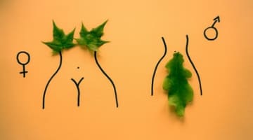 オナニーって何歳までできるの?オナニーを始めた年齢とオナニーできる年齢を考察のサムネイル画像