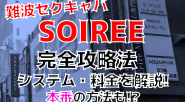 【2024年裏情報】難波のセクキャバ”SOIREE”で激エロギャルのおっぱいを揉みまくれ！料金・口コミを公開！のサムネイル画像