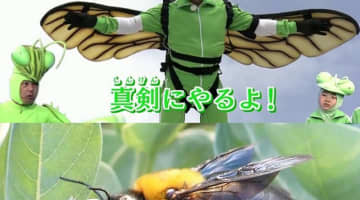 香川照之の昆虫番組「昆虫すごいぜ(NHK)」の内容まとめ！視聴率は？図鑑？のサムネイル画像