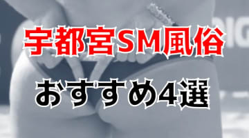 宇都宮の人気おすすめSM4店を口コミ・評判で厳選！本番も!?のサムネイル画像