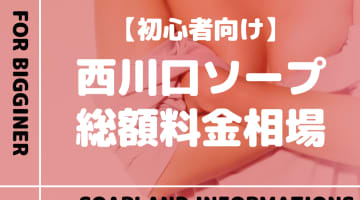 【西川口】ソープランドの総額料金相場とシステムを解説！おすすめ店をランク別に紹介！のサムネイル画像