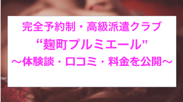 【裏情報】高級デリヘル”麹町プルミエール”で極上美女とカラム！料金・口コミを公開！のサムネイル画像