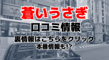 【裏情報】神戸のデリヘル"蒼いうさぎ"はホテル代込みコースがお得！料金・口コミを公開！のサムネイル画像